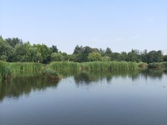 -前关湿地公园
