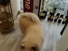 -肆兮眼镜·蔡司·徕卡战略合作店(大坪店)