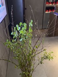-宸山医美·变美艺术馆