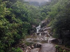 -象头山国家级自然保护区
