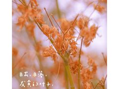 -海棠花溪(元大都城垣遗址公园)