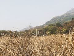 -西湖风景区-江洋畈生态公园