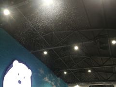 -Mr·Kuma酷么先生雪之乐园