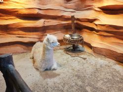 -酷嗒动物文化乐园(cutezoo西溪乐天城店)