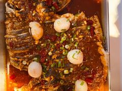 -鱼酷活鱼烤鱼(中联广场店)