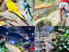 -正佳雨林生态植物园