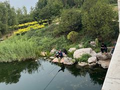 -马家湾湿地公园
