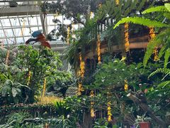 -正佳雨林生态植物园