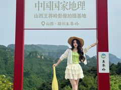 -王莽岭风景区