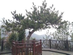 -重庆云阳龙缸景区