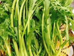 茼蒿-燃计沙茶皇·香港沙茶火锅(人广旗舰店)