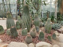 -郑州植物园