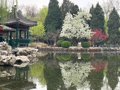 -宣武艺园