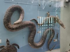 -国家自然博物馆