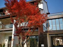 -华东政法大学(松江校区)