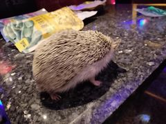 -音乐在线主题氧吧KTV(佳宁娜广场店)