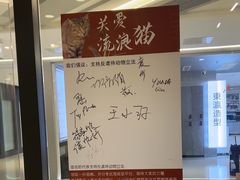 -三花喵·撸猫购宠·宠物生活馆(虹桥南丰城店)