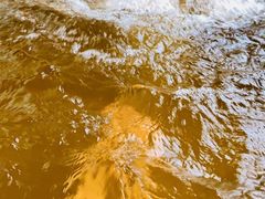 -春晖园度假酒店温泉