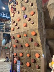 -卡通尼·Safari非洲探索乐园·生日会(金桥国际商业广场店)