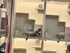 -青石桥花鸟鱼虫市场(叠翠城店)