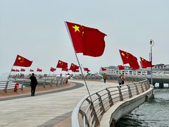 -演武大桥观景平台