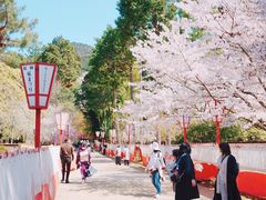 -醍醐寺