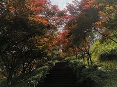 -重庆园博园