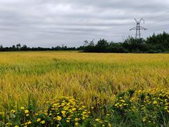 -中国天府农业博览园