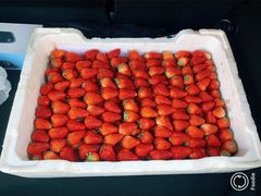 -西郊国际农产品交易中心