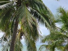 -三亚南山文化旅游区