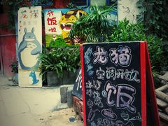 -小洲村