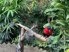 -南宫五洲植物乐园