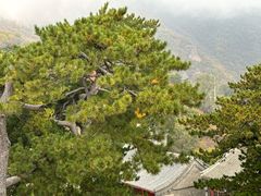 -妙峰山风景名胜区