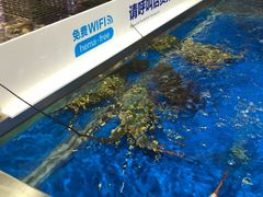 -盒马鲜生(莱蒙都会店)