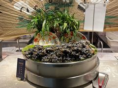 -五月罗马海鲜自助餐厅(陆家嘴店)