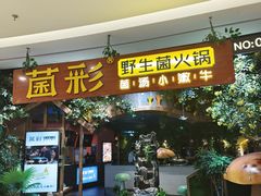 -菌彩云南野生菌火锅(呈贡七彩云南第壹城店)