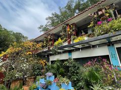 -深圳仙湖植物园