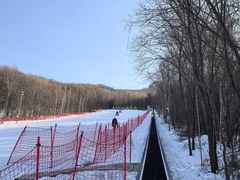 -香炉山国家森林公园