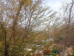 -北岭山森林公园
