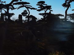 -罗红摄影艺术馆