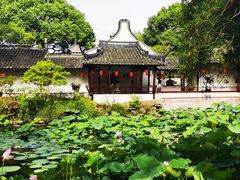-上海醉白池公园