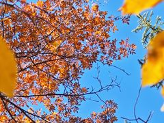 -叠溪松坪沟景区