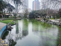 -静安公园(静安寺街道)