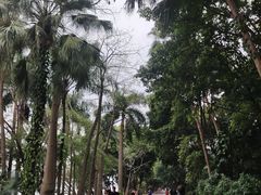 -南宁南湖公园