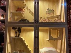 -MAX伯爵真人游戏密室体验馆(金沙湖店)