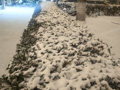 -田村(地铁站)