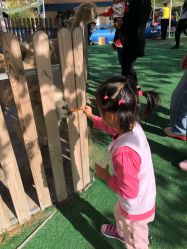 -萌宠亲子动物乐园(槐房万达店)