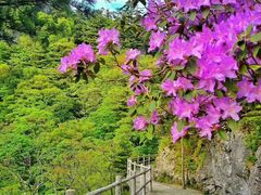 -秦岭天竺山景区