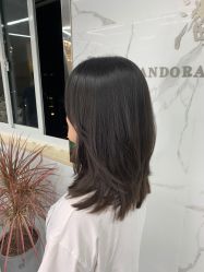 -潘多拉Hairsalon