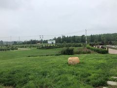-丹世红酒庄·烧烤·团建·婚礼·水上运动